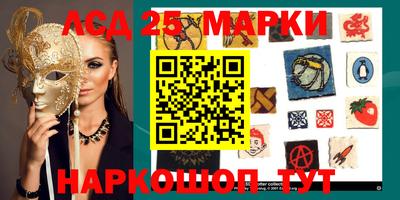 сатива Нальчик