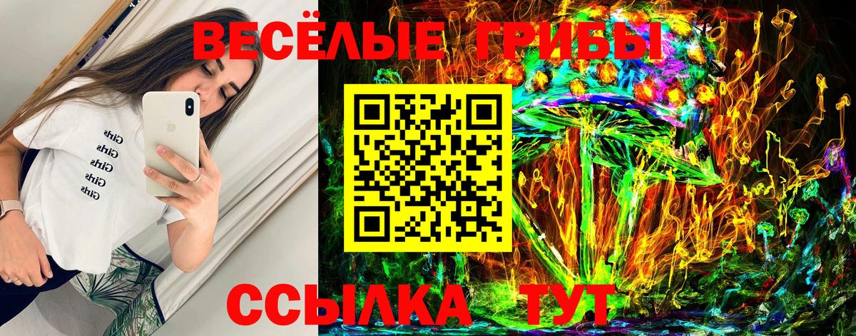 Галлюциногенные грибы прущие грибы Чита