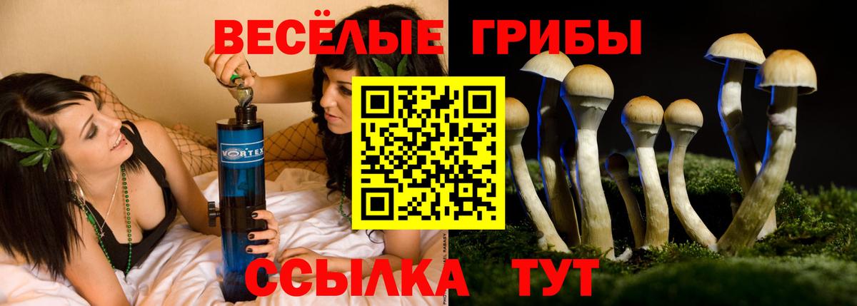Чита  Псилоцибиновые грибы Psilocybe  Вход с VPN 